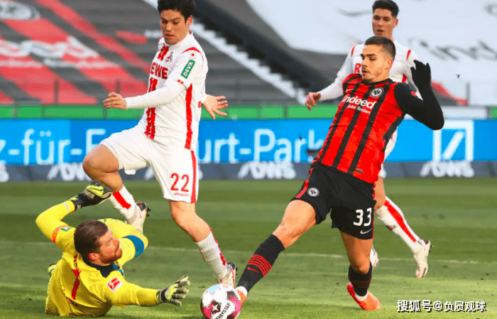 NG体育- 沙尔克04属于什么派系